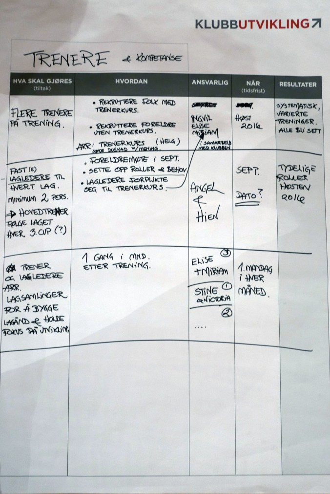 Eksempel på konkrete planer på prioriterte områder